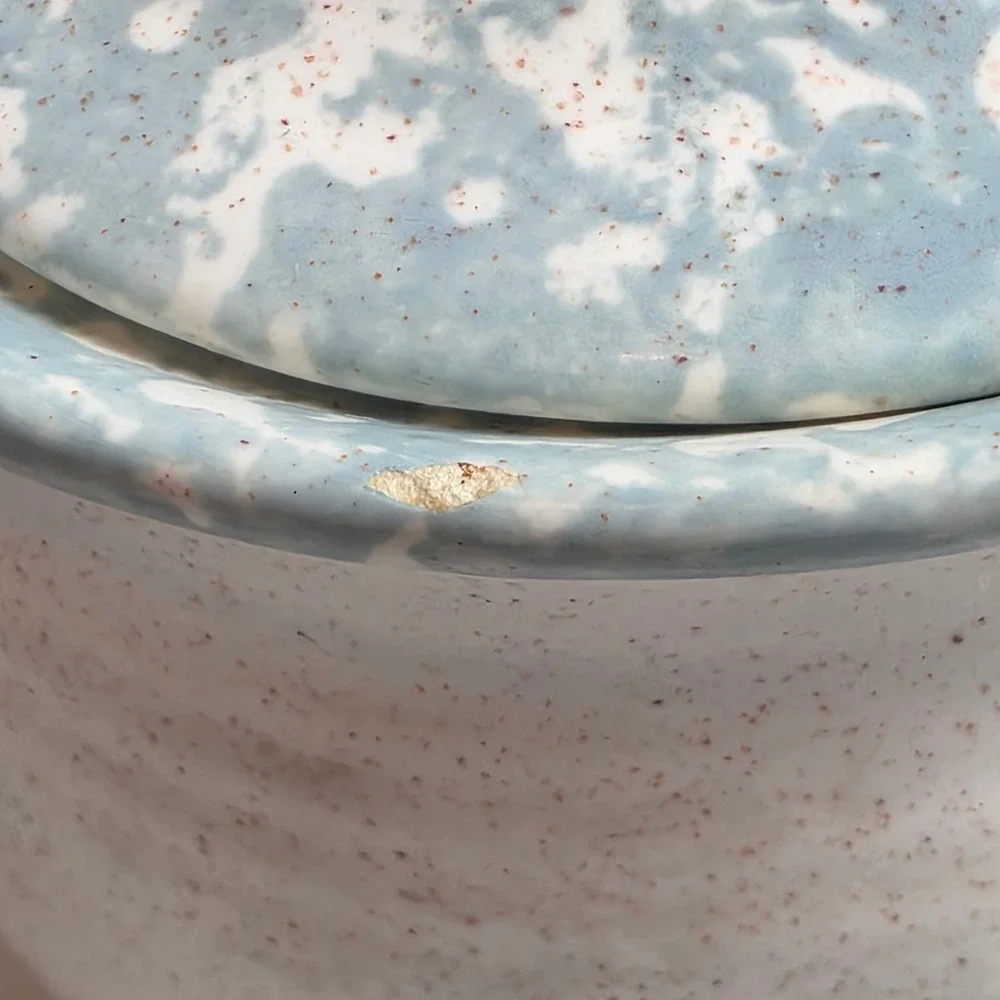 Vintage Ceramic Canister Jar Lid Pink Blue Tulips‎ Floral Design Kitchen Storage